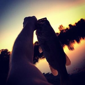 Meet your Posher, Tommy